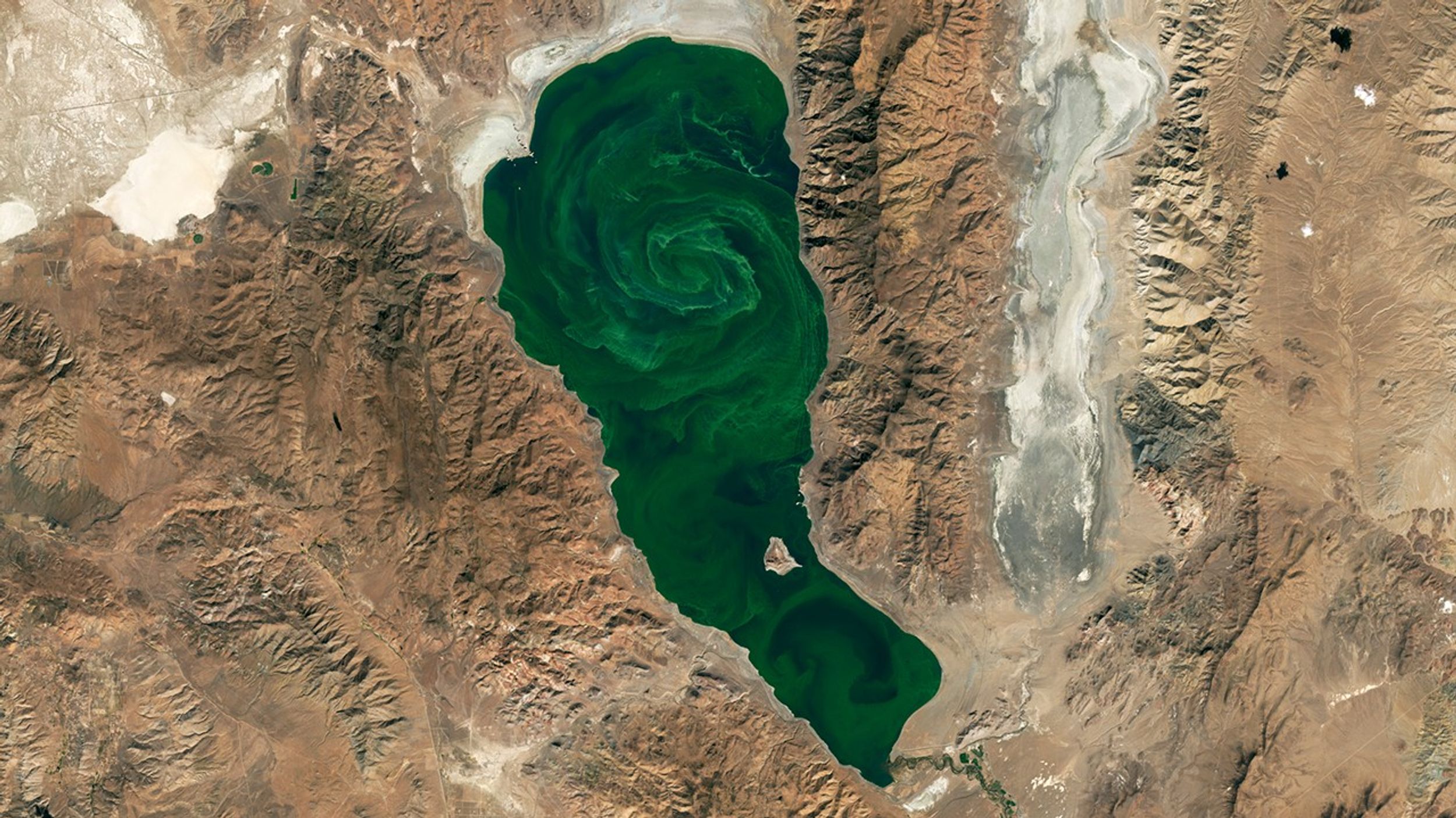 Imagen satelital de Landsat que muestra el lago Pyramid, al oeste de Nevada, con patrones arremolinados de proliferaciones de cianobacterias (algas) de color verde brillante visibles en la superficie del agua. Las algas verde-azules forman distintos patrones espirales y curvos en toda la superficie del agua del lago, que es de color verde oscuro. El lago está rodeado por un terreno marrón árido con cumbres y valles visibles del paisaje de Nevada. Esta imagen de octubre de 2024 demuestra cómo los instrumentos satelitales pueden detectar los pigmentos de la clorofila para monitorear las proliferaciones de algas potencialmente tóxicas, brindando datos cruciales para la gestión de la calidad del agua.