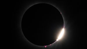 A dramatic photograph of the April 8, 2024, total solar eclipse taken from Dallas, Texas, showing the moment just after totality when the Moon blocks most of the Sun's disk against a black background. The Sun's outer atmosphere (corona) is visible as a faint white glow surrounding the Moon's silhouette. Several bright pink solar prominences—jets of plasma extending from the Sun's surface—are clearly visible along the edges of the Moon, particularly pronounced at the bottom and right edges. The lower right portion of the image shows "Bailey's beads," appearing as bright white segments where sunlight streams through valleys on the lunar limb, creating a diamond ring effect. This rare astronomical phenomenon allowed scientists to study the innermost part of the corona that is only observable during total eclipses, providing valuable data about solar energy transfer mechanisms.