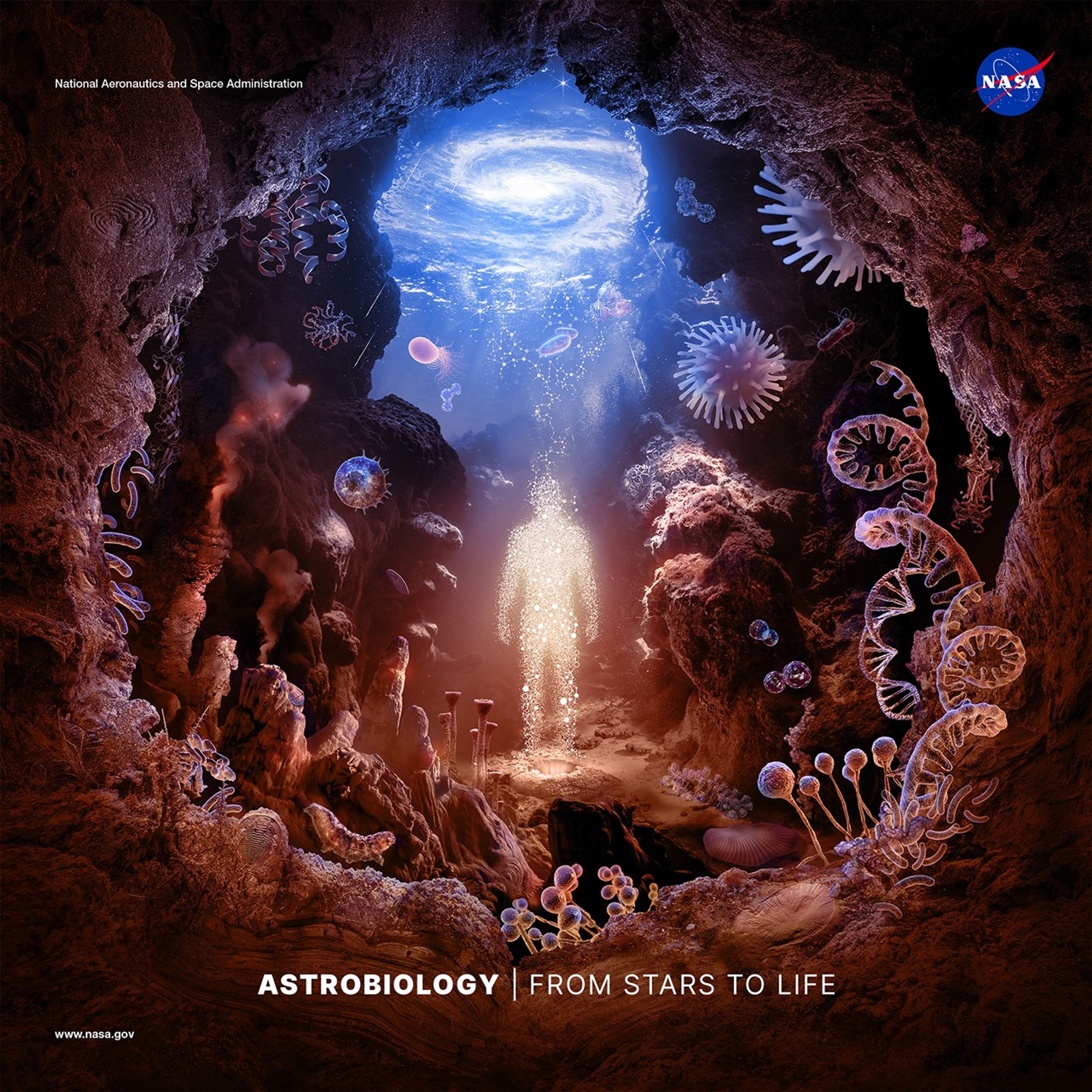 This illustration depicts a warm hued underwater landscape framed by a spherical cave opening. The microscopic building blocks of life - molecules, amino acids, proteins, bacteria, microorganisms, and extremophiles - appear to grow on surfaces and float throughout the composition. Ediacaran fossils are embedded in the surrounding rock. Hot smokers and stromatolites decorate the foreground and slime molds and lichens fill out the scene. A central hydrothermal vent emits glowing gold particles which coalesce into the shape of a human being. Molecular structures intersperse with these particles and drift upward toward the water’s blue-lit surface. The rippling reflection on surface resembles a distant spiral galaxy. From stars to life, we are the same.