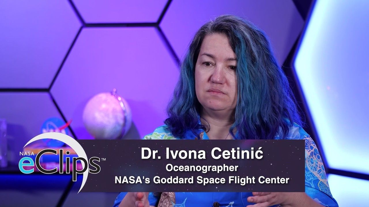 Our World: Phytoplankton - Powering the Ocean Food Web