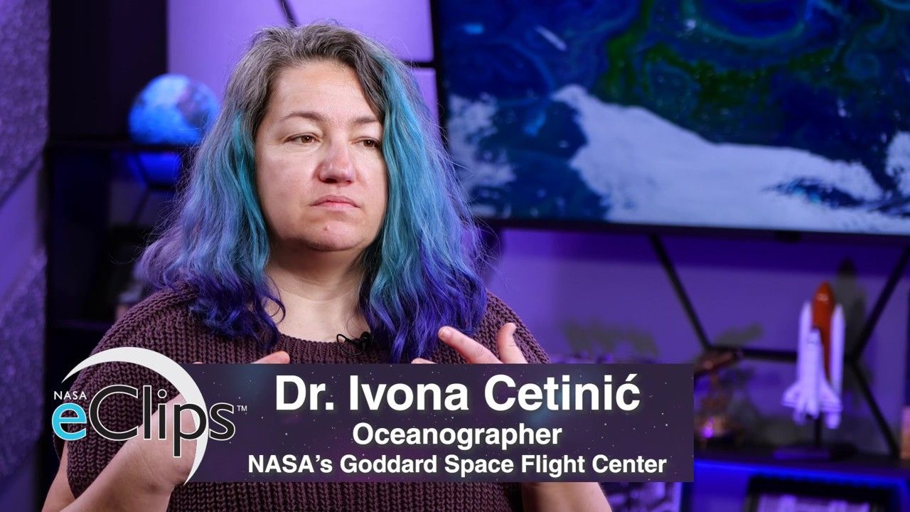 Real World: Phytoplankton, Microscopic Drifters