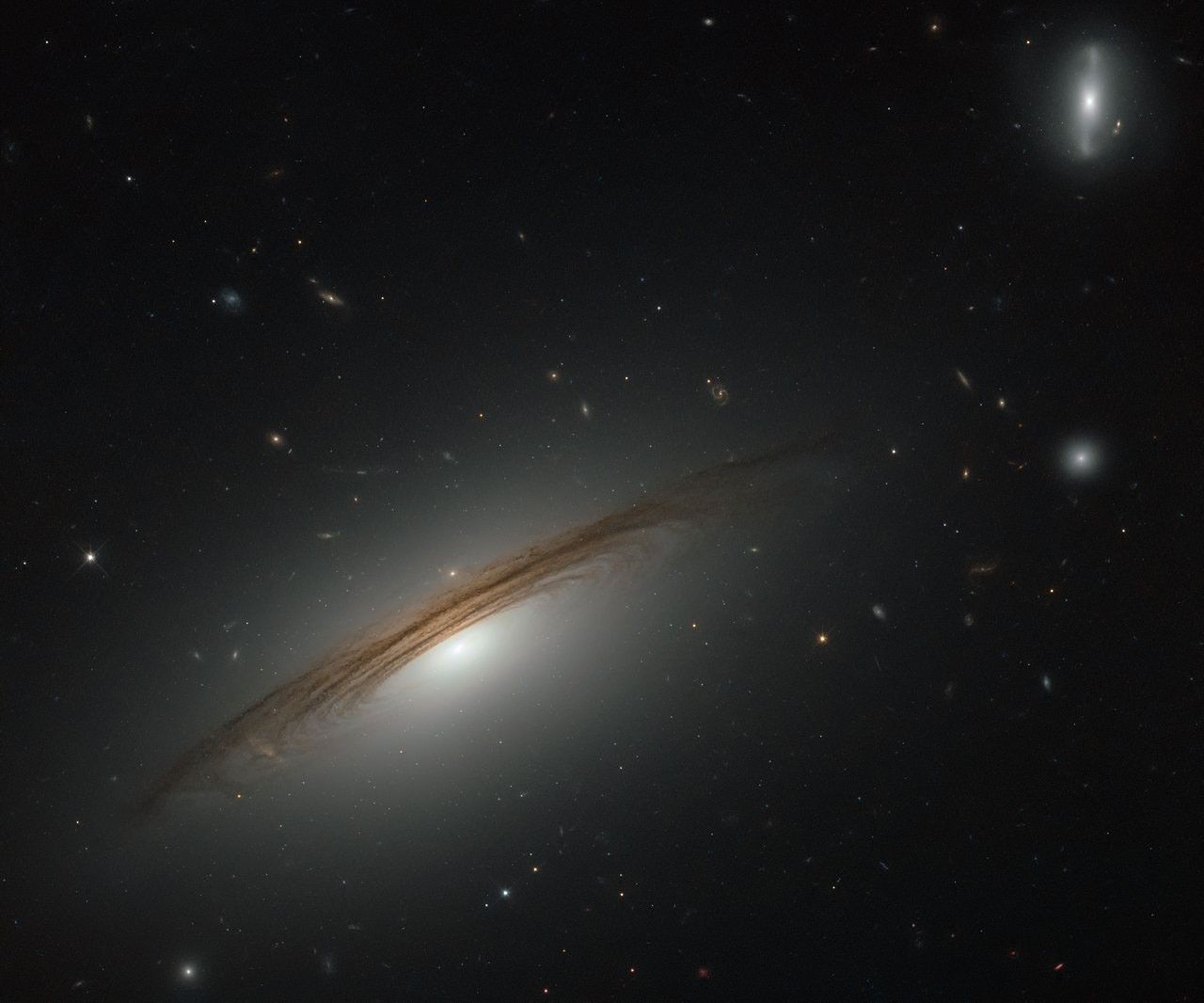 Hubble Sees Galaxy with Dark Rings in New Light - NASA Science