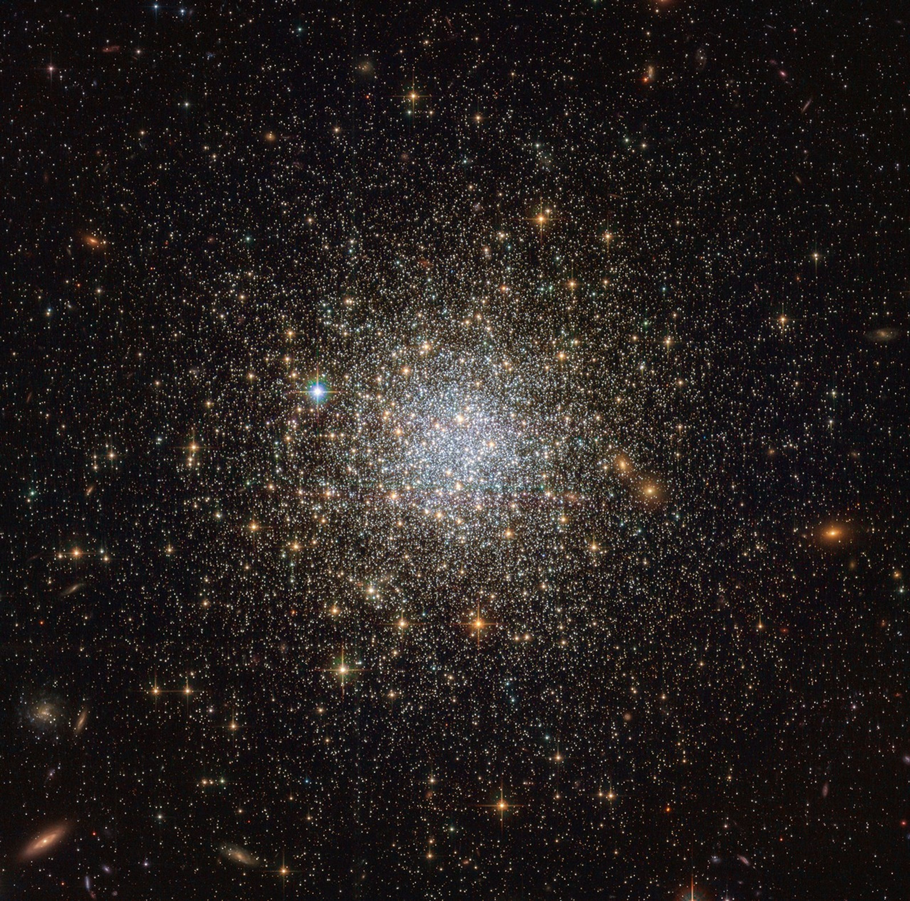 Tightly-packed group of white stars near the center, while thinning out at the edges. Many red-orange stars are scattered throughout.