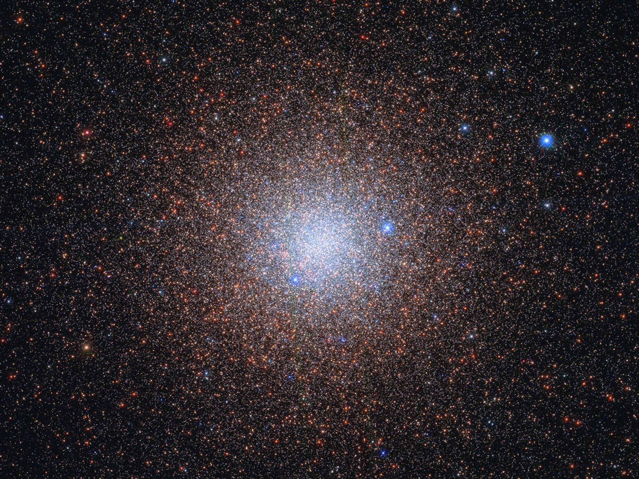Tightly-packed grouping of whitish and reddish stars, with a few blue ones in the foreground.