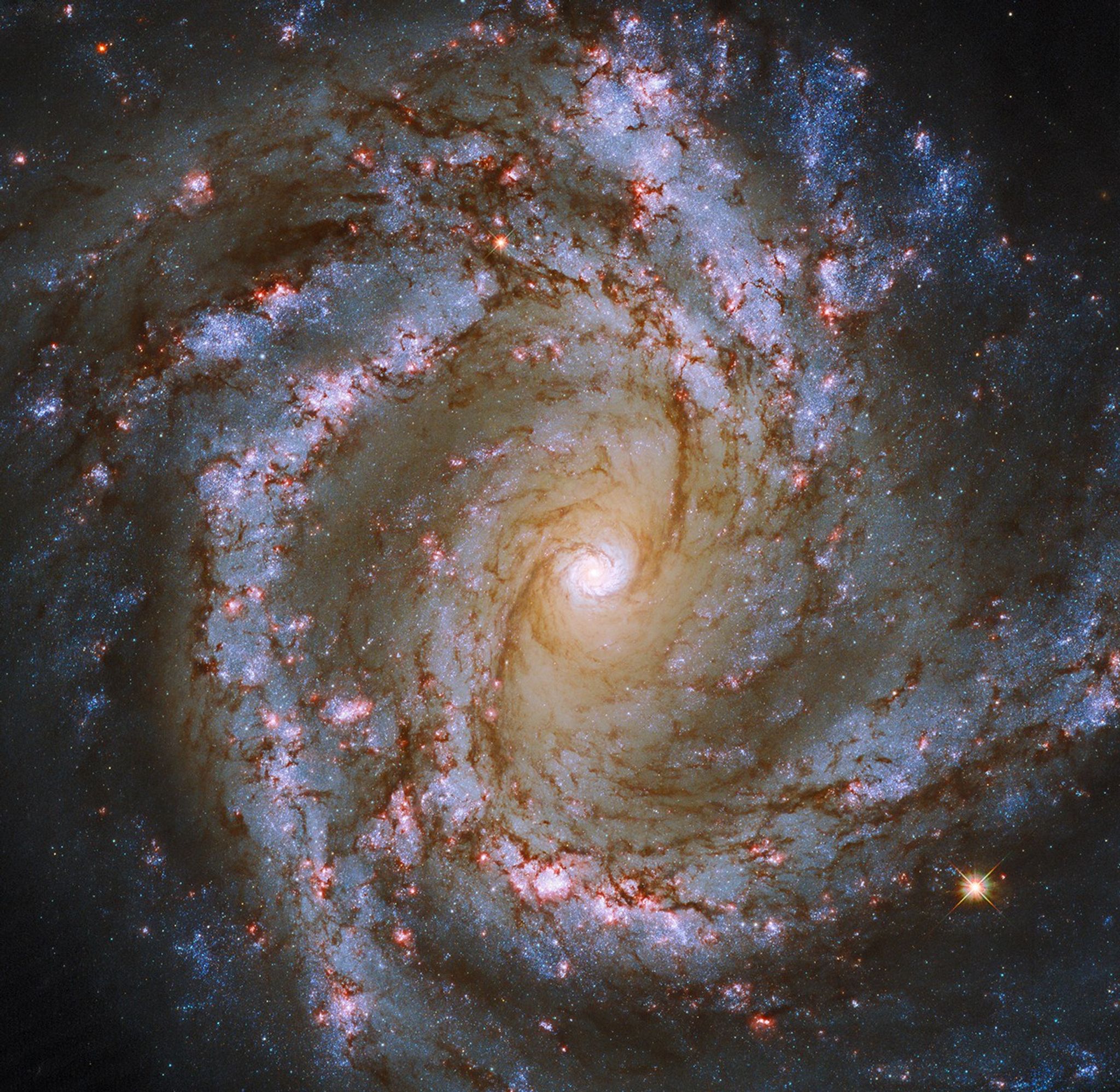 The luminous heart of the galaxy m61 dominates this image.
