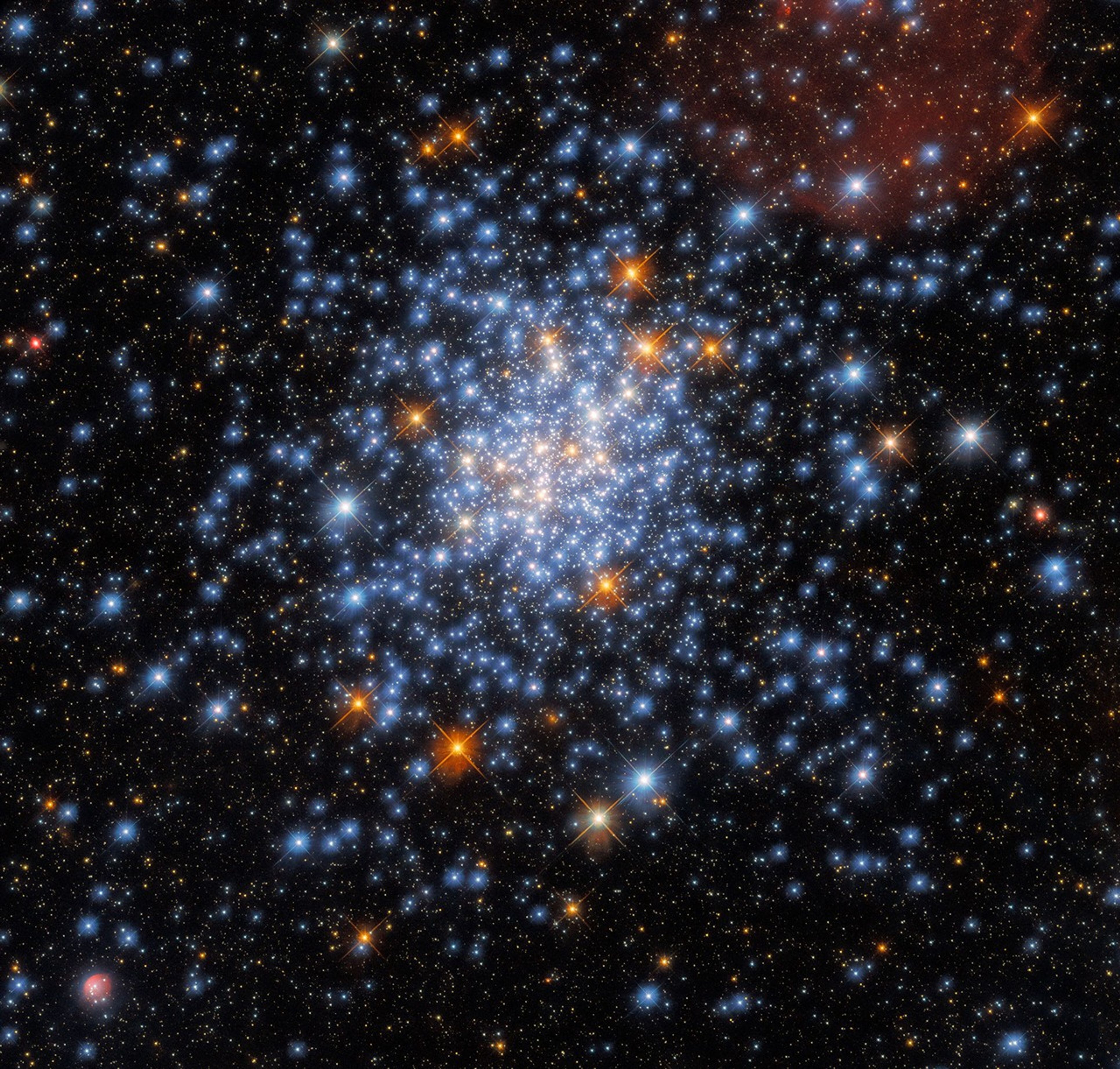 Hundreds of blue-white stars, packed more tightly near the center of the image and becoming more scattered moving outwards. Near the center are around a dozen white stars, and scattered throughout here and there are red-orange stars. Many thousands more stars dot the background.