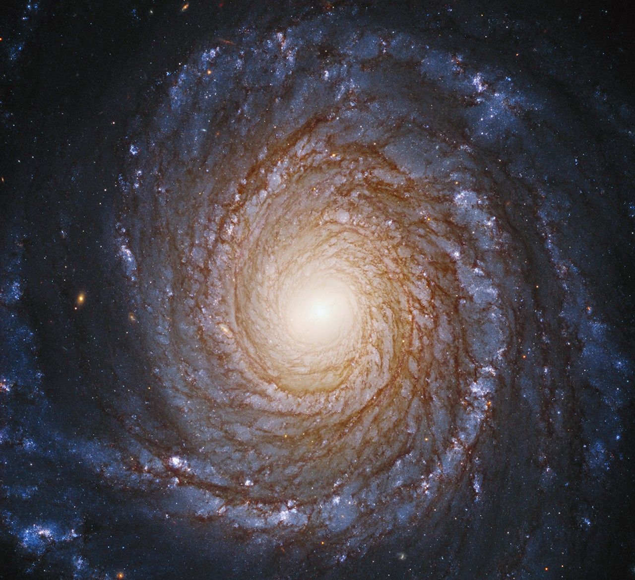 Spiral galaxy NGC 3147 with a glowing golden core and bluish arms seen face-on.