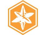 An Orange hexagon with a white star in it.