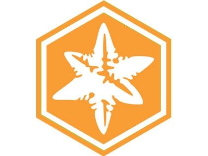 An Orange hexagon with a white star in it.