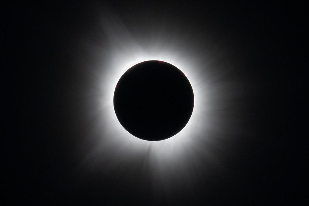 New Volunteer Data from 143 Observatories Unveils the 2024 Total Solar Eclipse