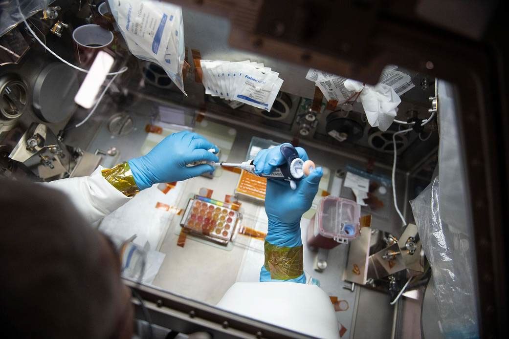 Image of astronaut�s hands in glovebox