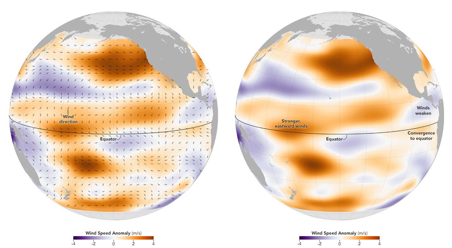 Mapa que muestra las anomalías de la velocidad del viento (“wind speed anomaly”). Durante un episodio de El Niño, los patrones del viento cambian en todo el océano Pacífico. Lo más significativo es que se debilitan (morado) en la región tropical del Pacífico oriental, lo que permite que el agua cálida de la superficie se desplace hacia las Américas.