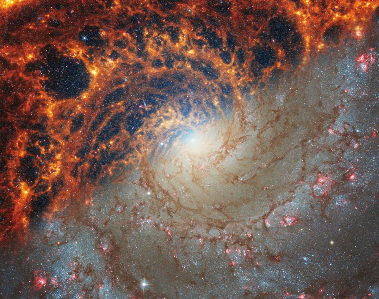 Vistas de la galaxia espiral NGC 628 captadas por Webb y Hubble.
