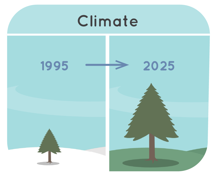 Illustration of a small tree in the snow in 1995 and the same tree, much larger, in a grass field in 2025.