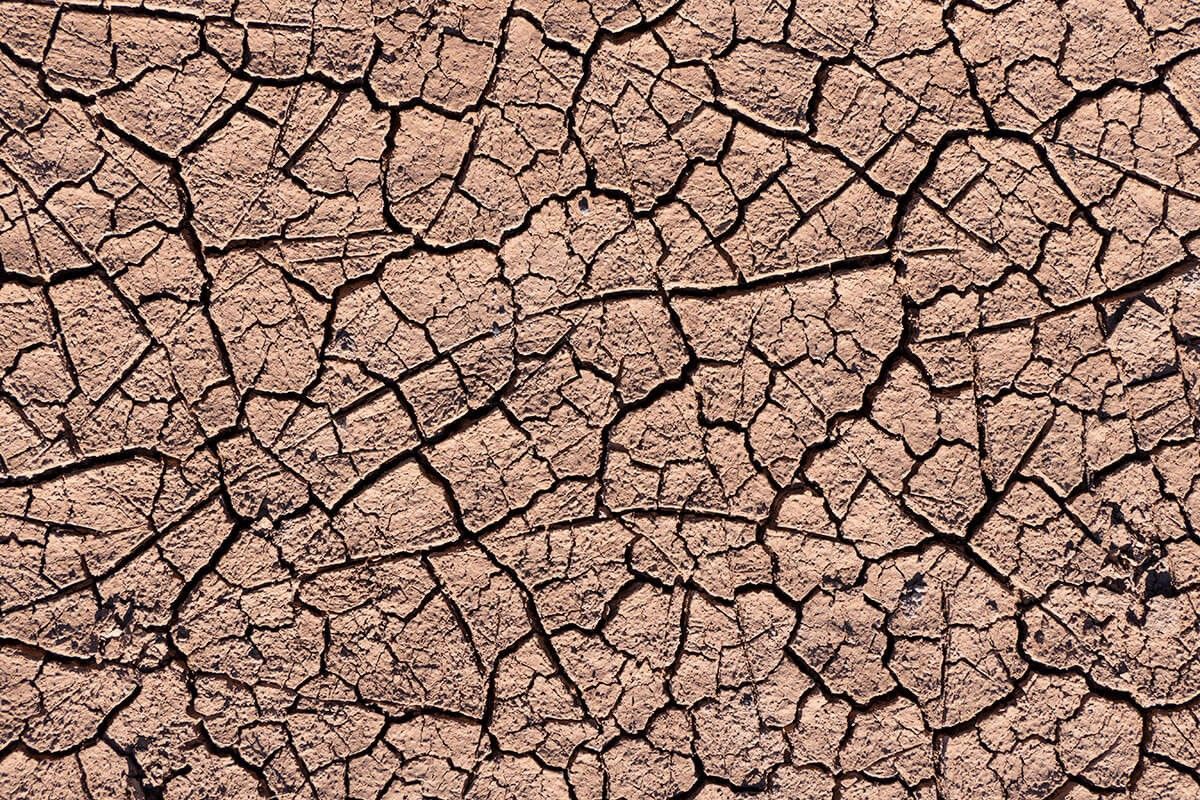 A tan-colored ground that is covered in cracks of different sizes and going in different directions. The cracks are black in color.