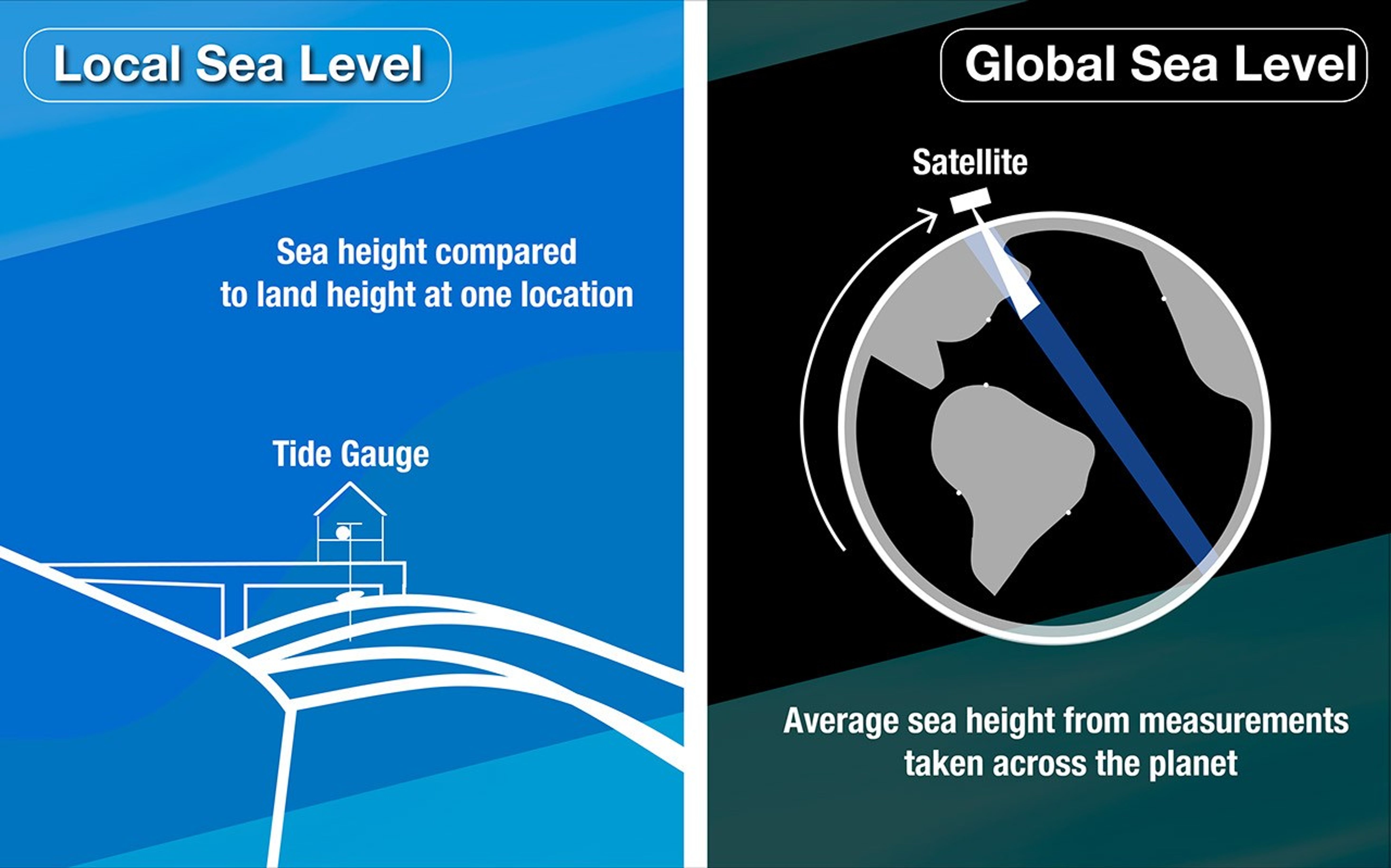 Illustration detailing that local sea level is sea height compared to land height at one location and global sea level is average sea height from measurements taken across the planet.
