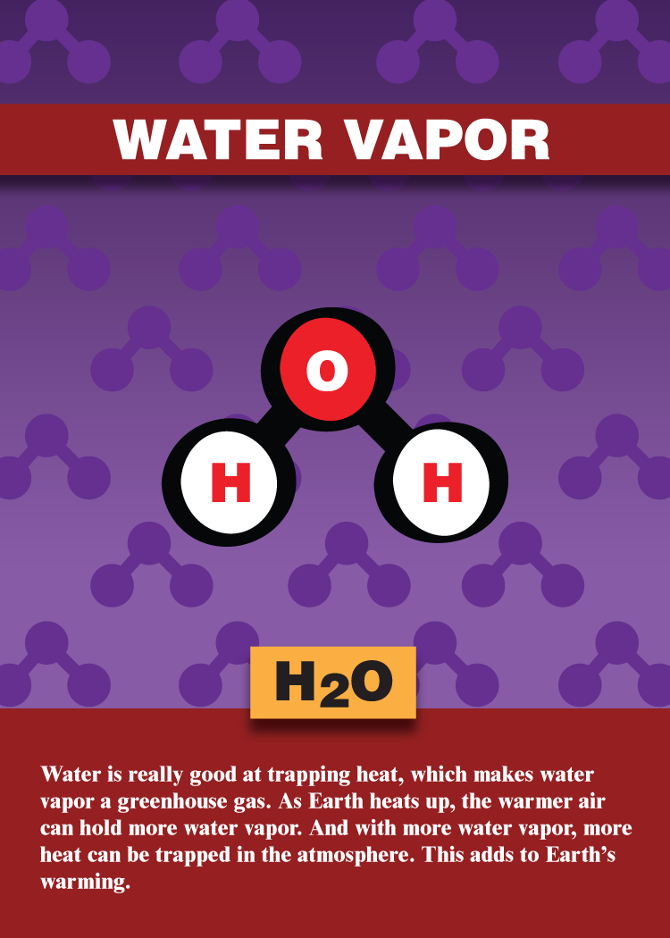 Water Vapor trading card that reads Water is really good at trapping heat, which makes water vapor a greenhouse gas. As Earth heats up, the warmer air can hold more water vapor. And with more water vapor, more heat can be trapped in the atmosphere. This adds to Earth’s warming.