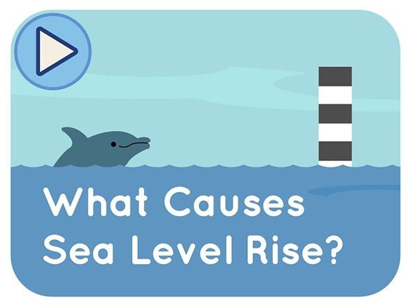 What causes sea level rise? video thumbnail