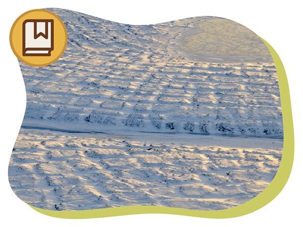 What Is Permafrost thumbnail