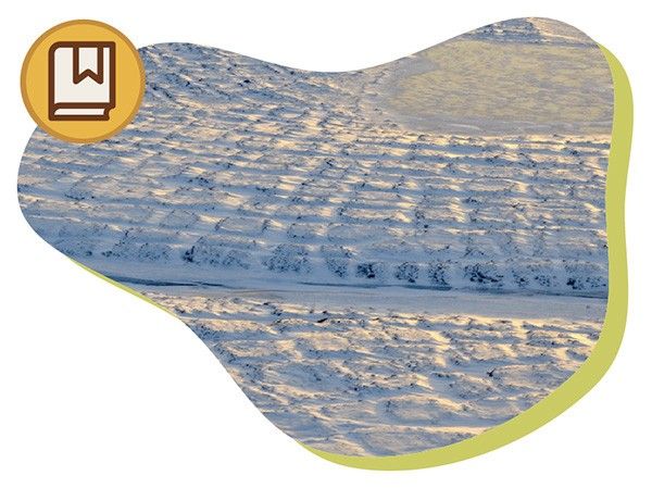 What Is Permafrost thumbnail