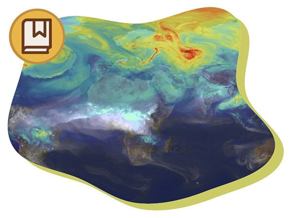 What is the Carbon Cycle thumbnail