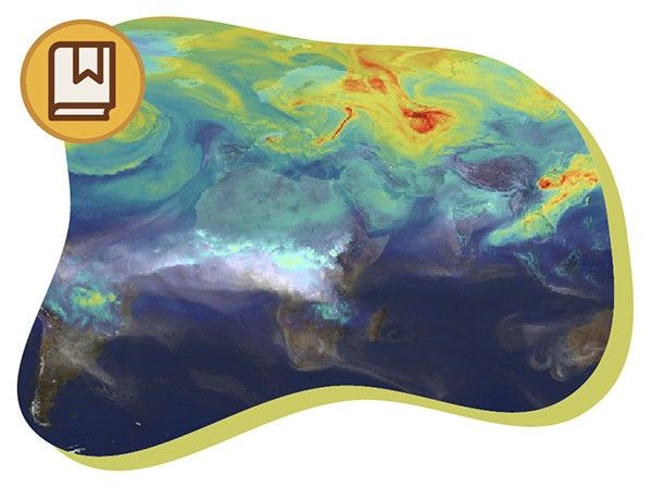 What is the Carbon Cycle thumbnail