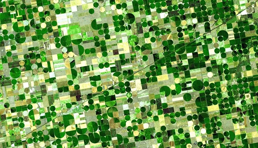 Satellite image of farmland showing patchwork of green and yellow circles and squares.
