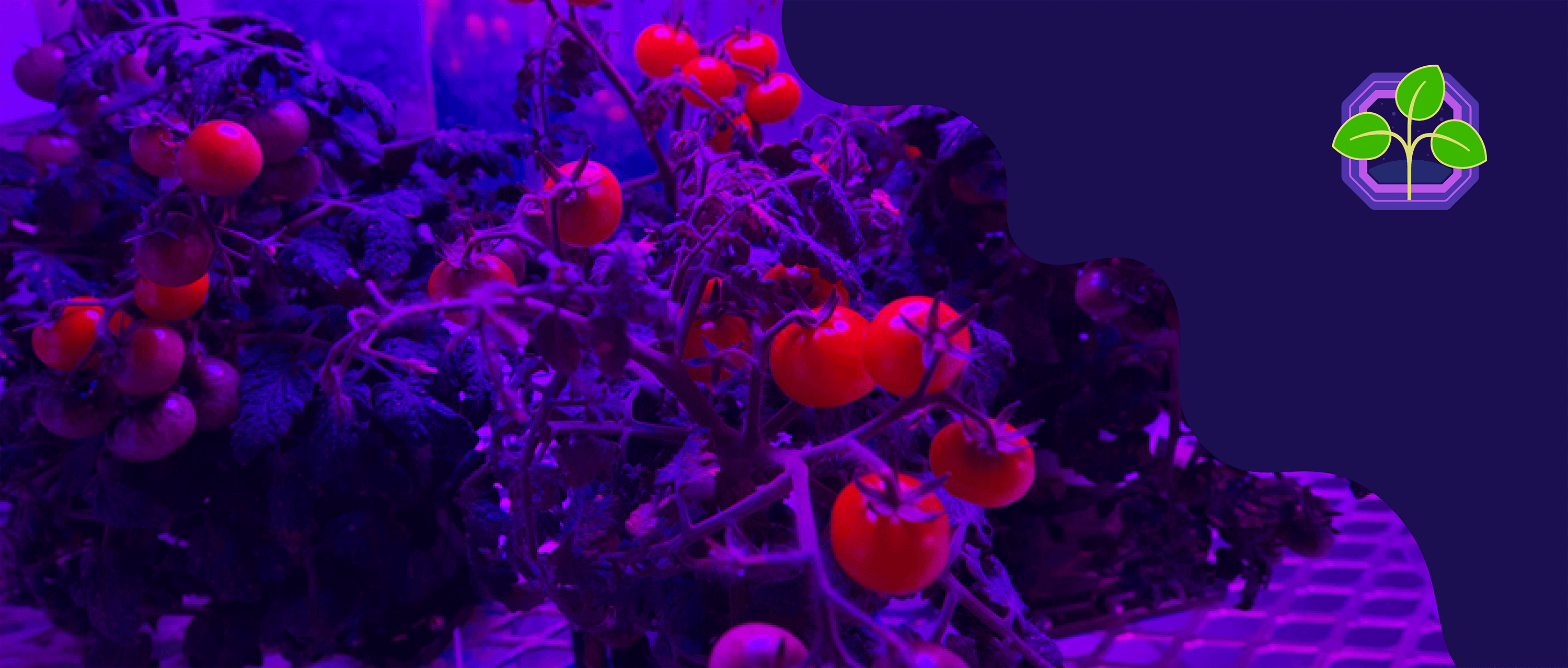 Experiments in Space header