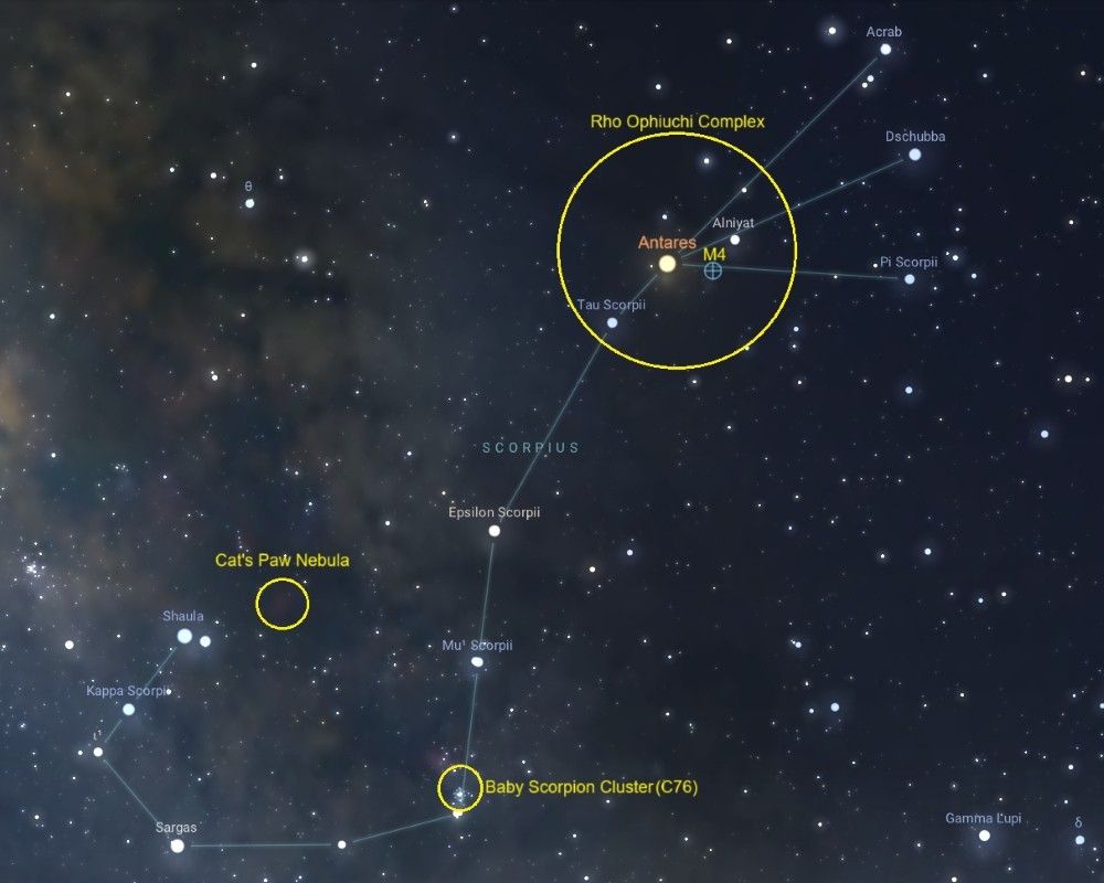 The star map of the Scorpius constellation shows several notable deep-sky objects and stars. Major stars like Antares, Tau Scorpii, and Shaula are labeled. Three key deep-sky targets are highlighted with yellow circles and labeled in yellow text: the "Rho Ophiuchi Complex" near Antares along with Messier 4, the "Cat’s Paw Nebula" near the star Shaula, and the "Baby Scorpion Cluster (C76)" near the bottom of the image. The background includes a rich star field and dark nebulae, indicating the Milky Way’s dense core region. The constellation’s main star pattern is outlined with connecting lines that resemble a hook.
