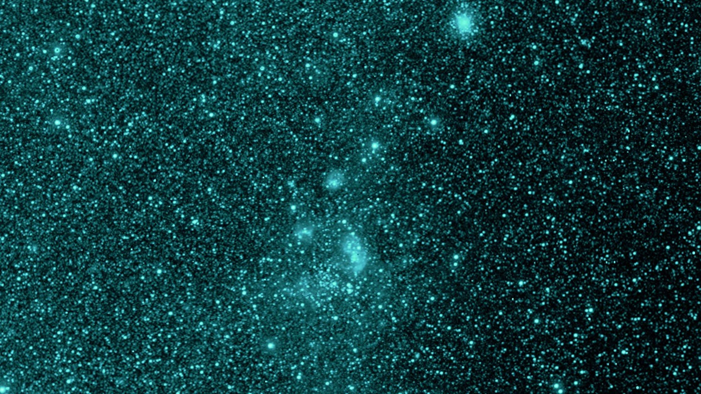 A patch of sky imaged by SPHEREx in 0.98 microns, an infrared wavelength invisible to the human eye that has been adjusted to appear blue in this picture. The cloud of dust in this image does not appear because it is invisible in this wavelength.