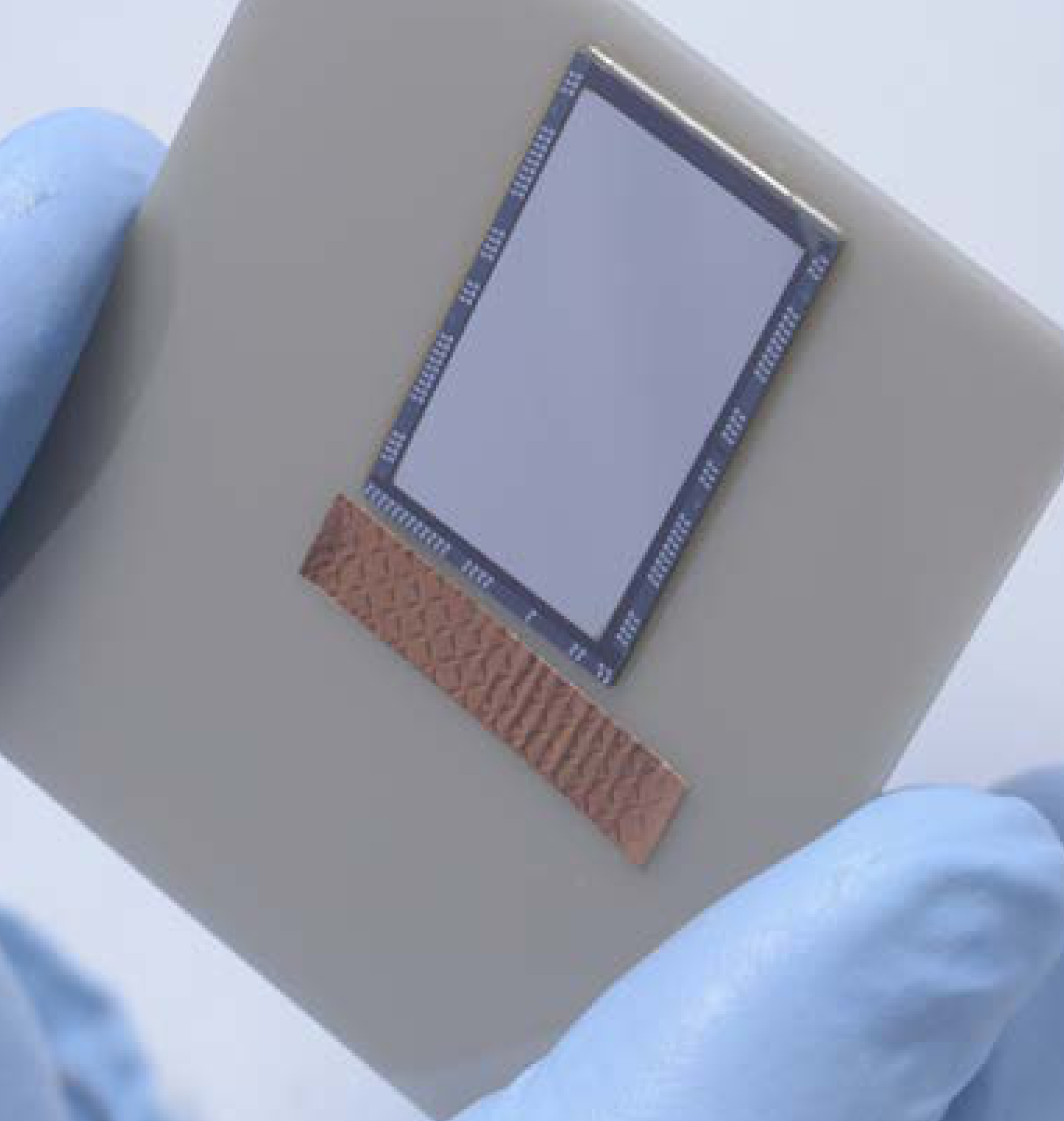 A gloved hand holding a flat, square item (the sensor) with two smaller rectangular items attached. Much of the sensor area is covered with a filter coating that has a metallic appearance.