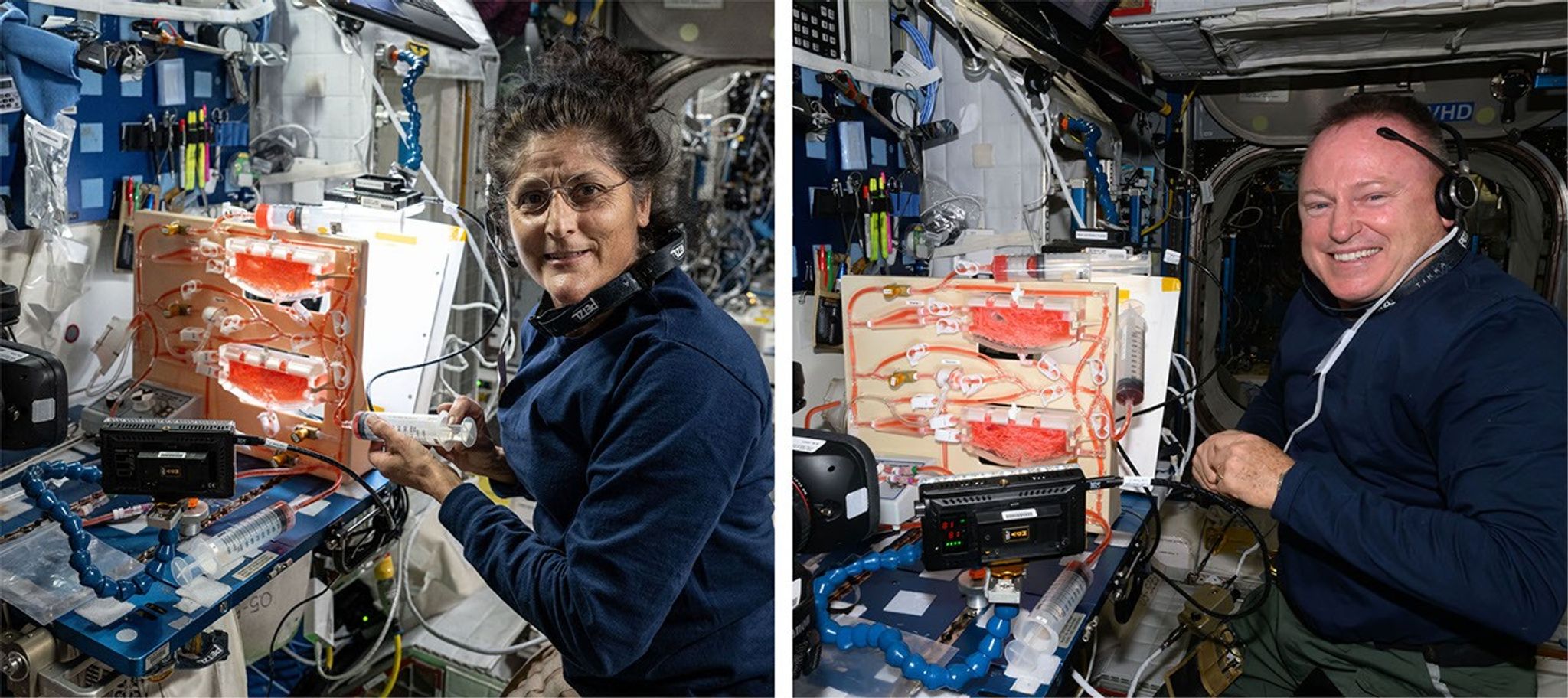 Two astronauts working at tables with complex systems of tubes, syringes, and other apparatus.