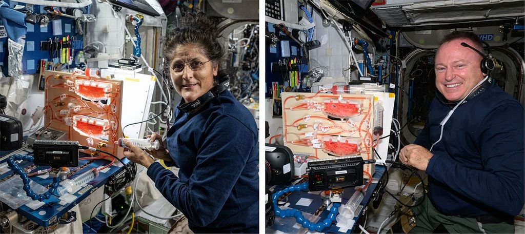 Unearthly Plumbing Required for Plant Watering in Space