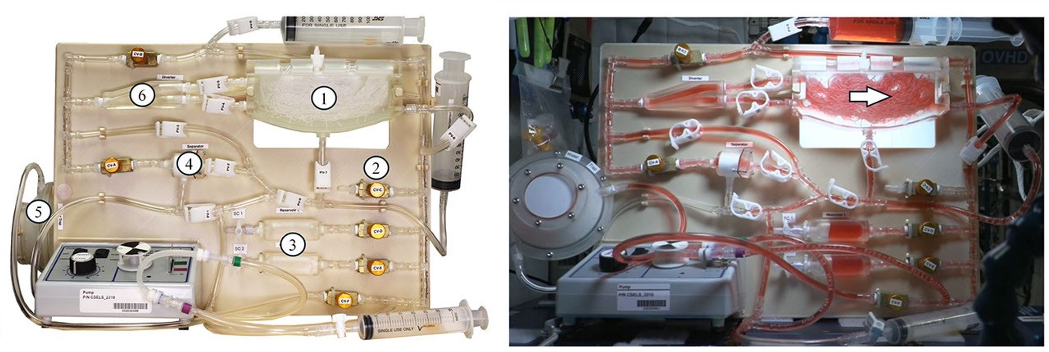 Both images depict a rectangular structure containing tubes and other devices. The image on the left shows the apparatus with the different parts numbered, while the image on the right shows the same structure with fluid flowing through it.