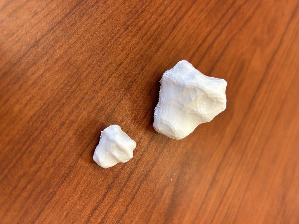 A pair of what appear to be bright white rocks, a larger one in the back and a smaller one in front. They're resting on a wood-grained table.