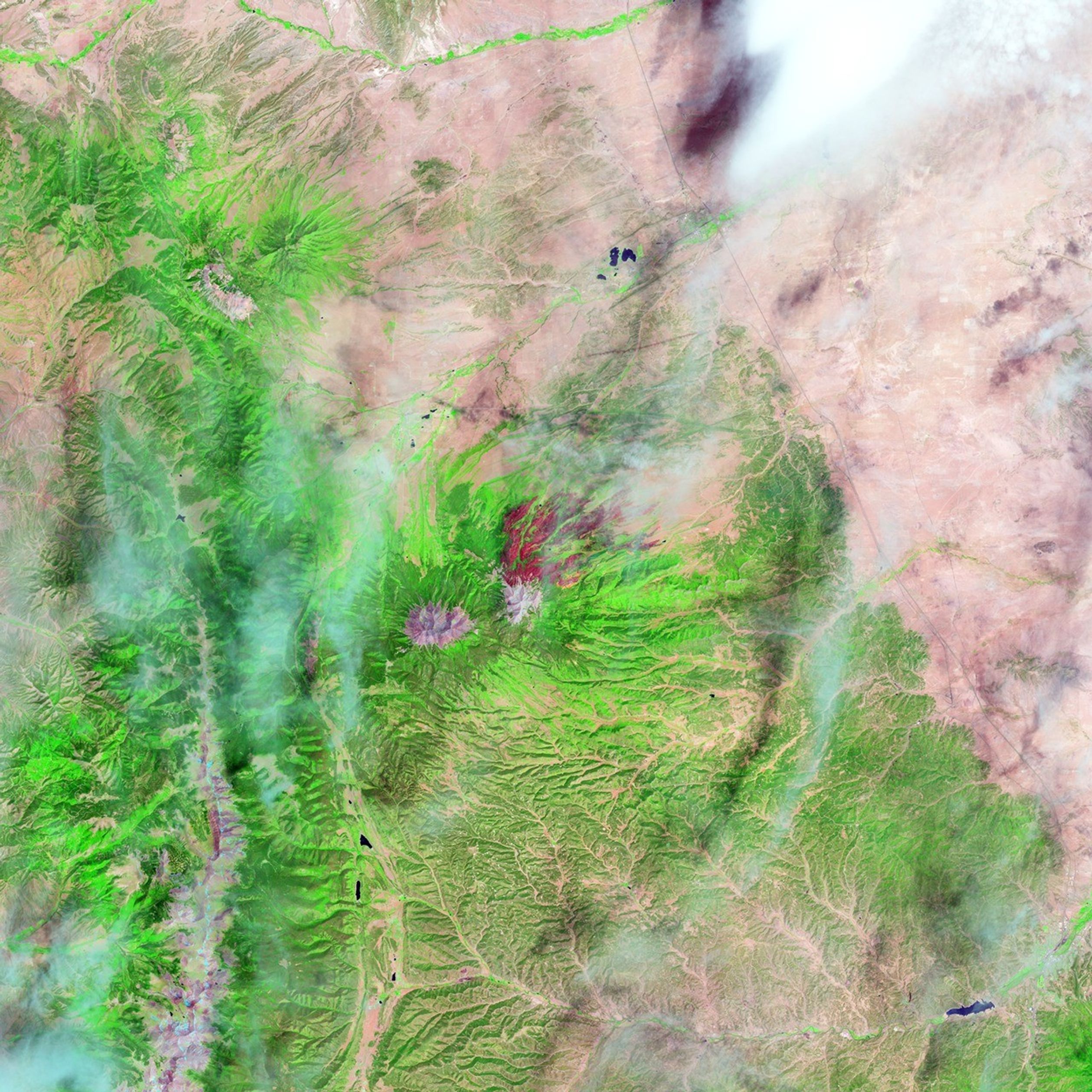 Imagen con color añadido del incendio de East Peak en el sur de Colorado, cerca de Trinidad. Las zonas quemadas se ven de color rojo oscuro, mientras que las zonas con incendios activos se observan en color naranja. Las zonas de color verde oscuro son bosques; las de color verde claro son pastizales. Los datos de Landsat 8 fueron utilizados para entrenar el modelo de inteligencia artificial Prithvi, el cual puede ayudar a detectar zonas quemadas.