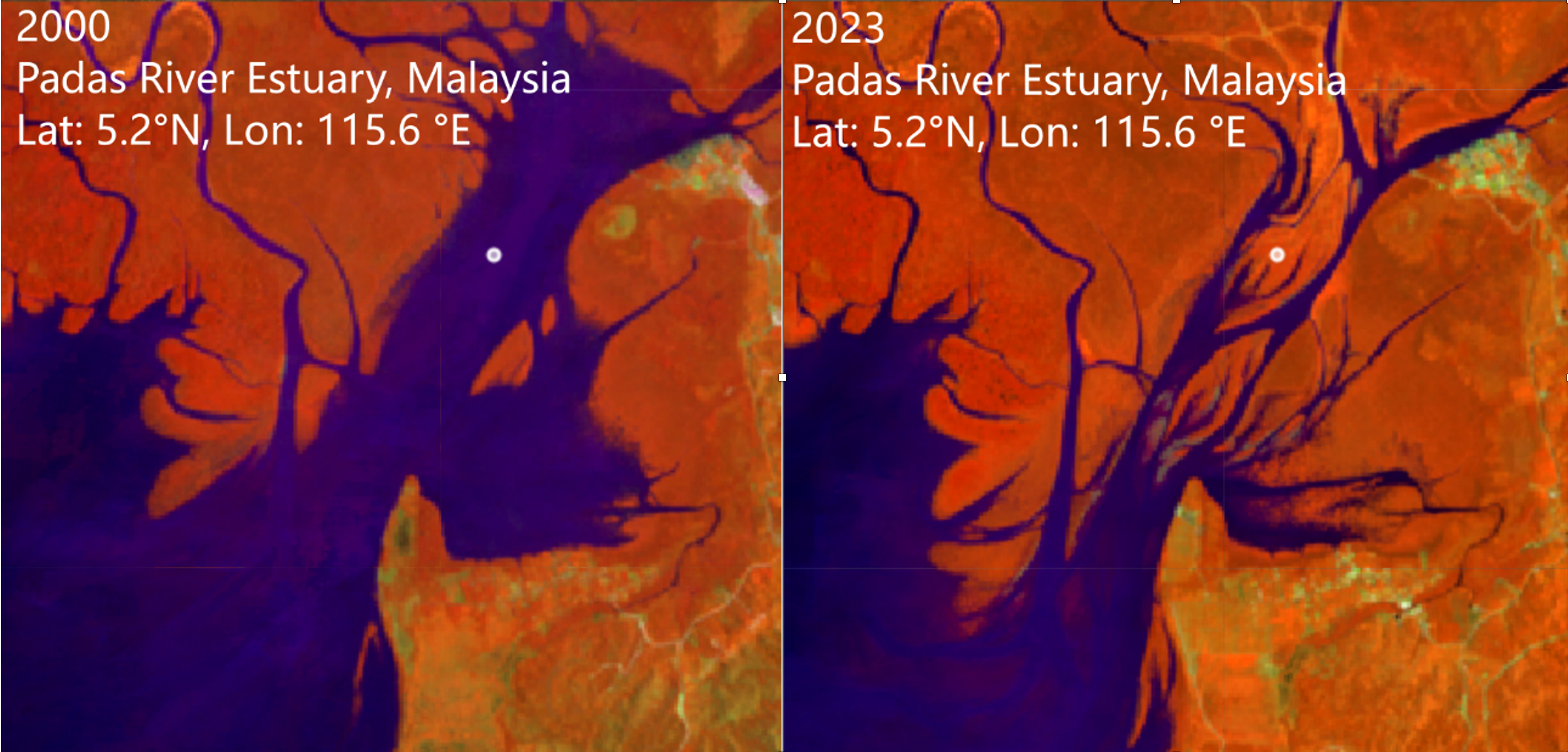 NASA Landsat comparison showing mangrove forest expansion in Malaysia's Padas River estuary (2000–2023), part of global reversal of mangrove decline