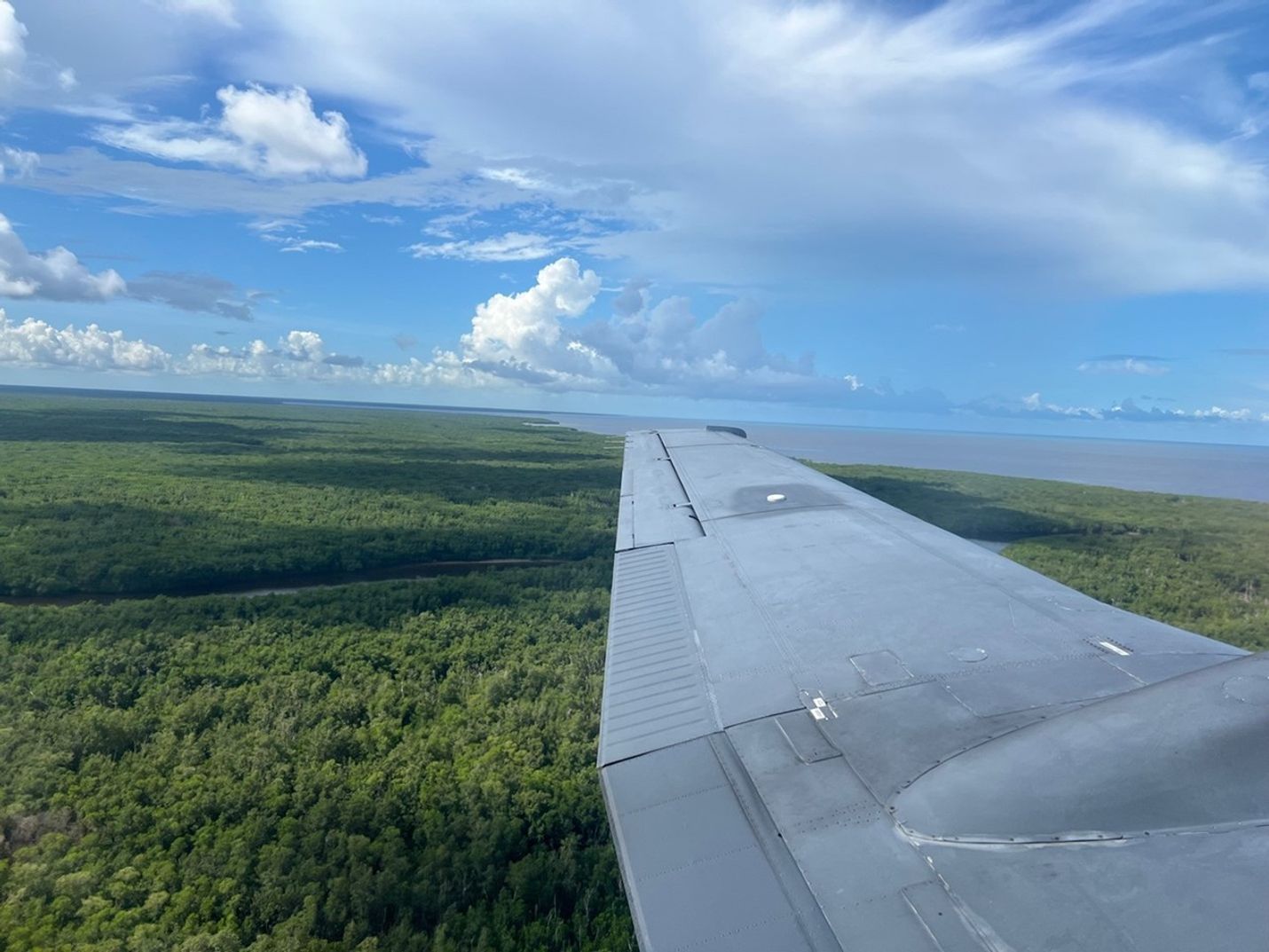 A dense, green carpet of mangrove treetops stretches into the distance, eventually meeting the ocean. Clouds cast their shadows on the trees from above.