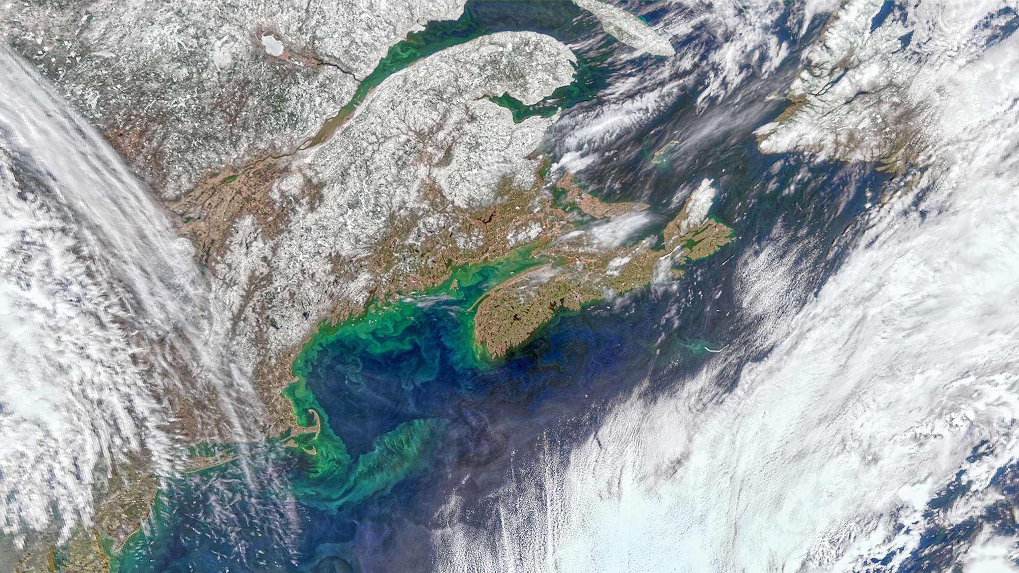 Swirling green phytoplankton blooms in the Gulf of Maine are seen in a satellite image taken by NASA’s PACE mission.