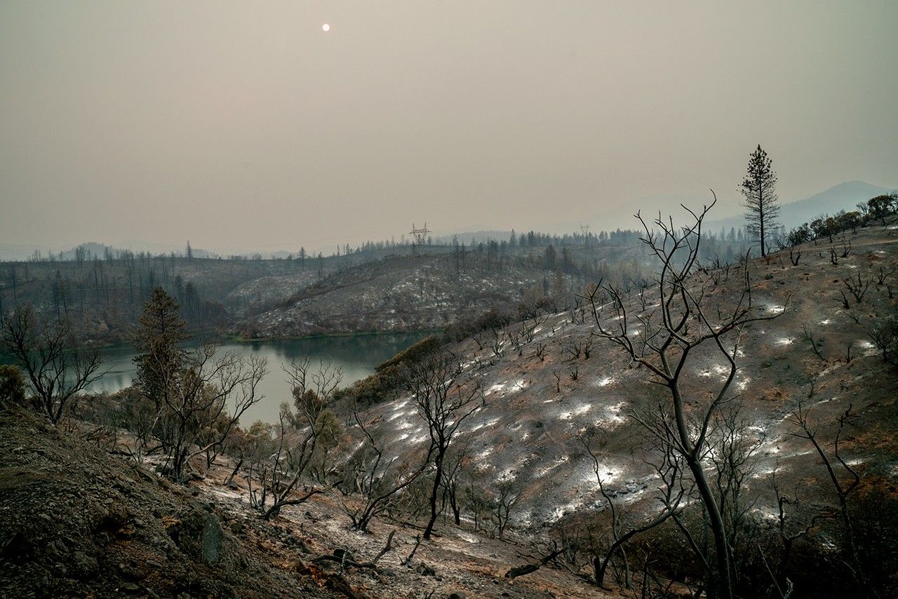 NASA Data Powers New Tool to Protect Water Supply After Fires - NASA Science