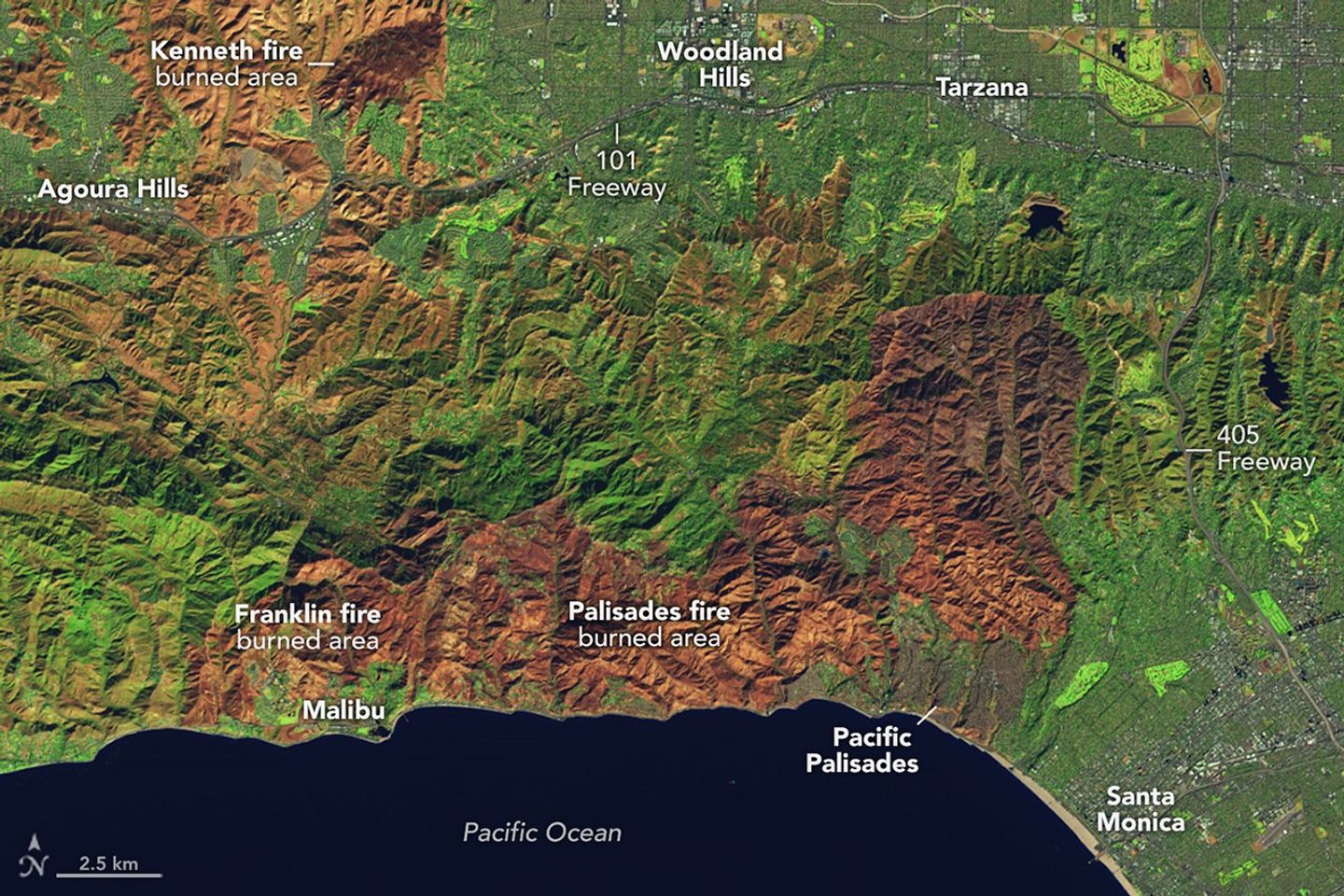 False-color Landsat 9 image from Jan. 14, showing burned areas near Los Angeles. Green indicates vegetation; brown shades show land burned in the Kenneth, Franklin, and Palisades fires.
