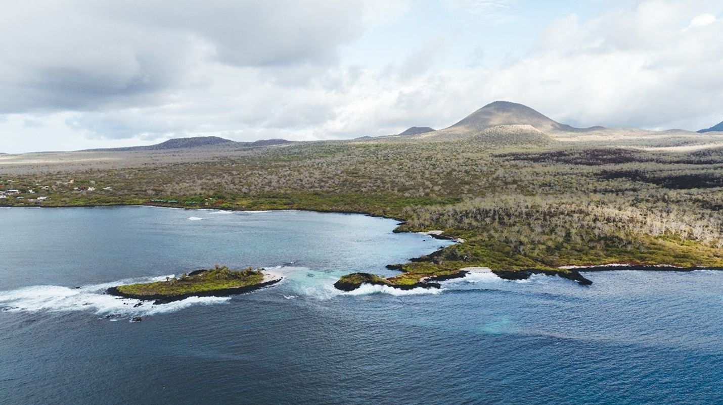 Aerial view of Floreana Island’s rugged coastline and dry interior in the Galápagos, where habitat restoration is underway.