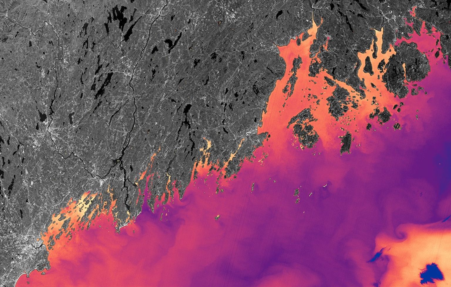 False-color Landsat 9 map shows cooler purple/blue Gulf of Maine waters and warmer orange/yellow nearshore coves.