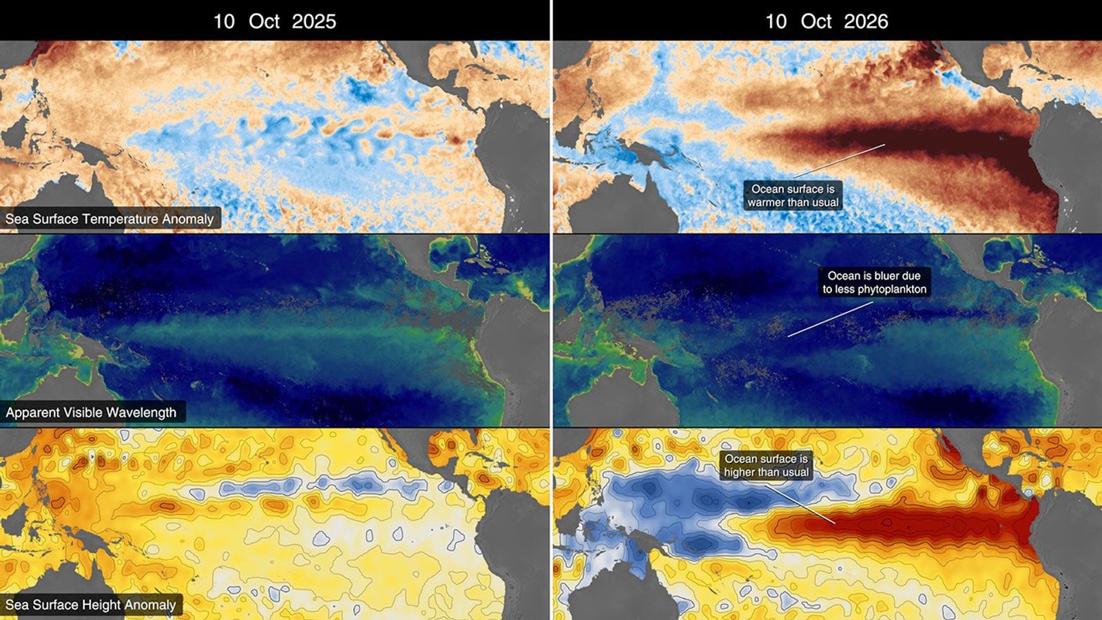 Six Pacific maps compare sea-surface temperature anomaly, apparent visible wavelength and sea-surface height anomaly on October 10 in 2025 and 2026.