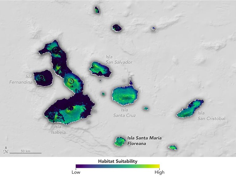 Mapa de adequação de habitat para tartarugas gigantes nas Galápagos, destacando áreas com maior probabilidade de alimento, umidade e locais de ninho