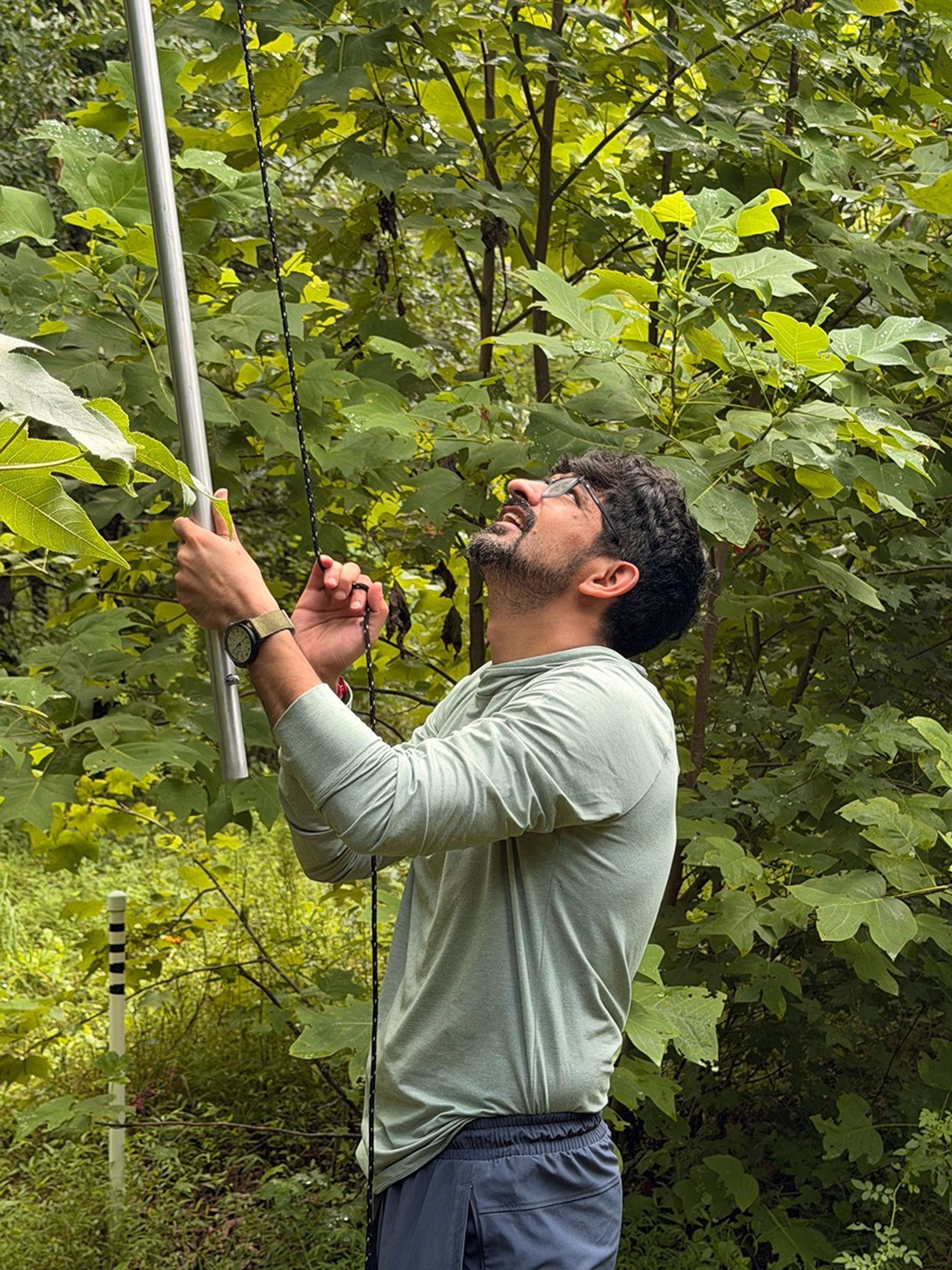 A man is shown looking up into the trees. He carries a pole in his left hand; his right hand is poised on the cable he’ll use to clip a branch from the treetop.