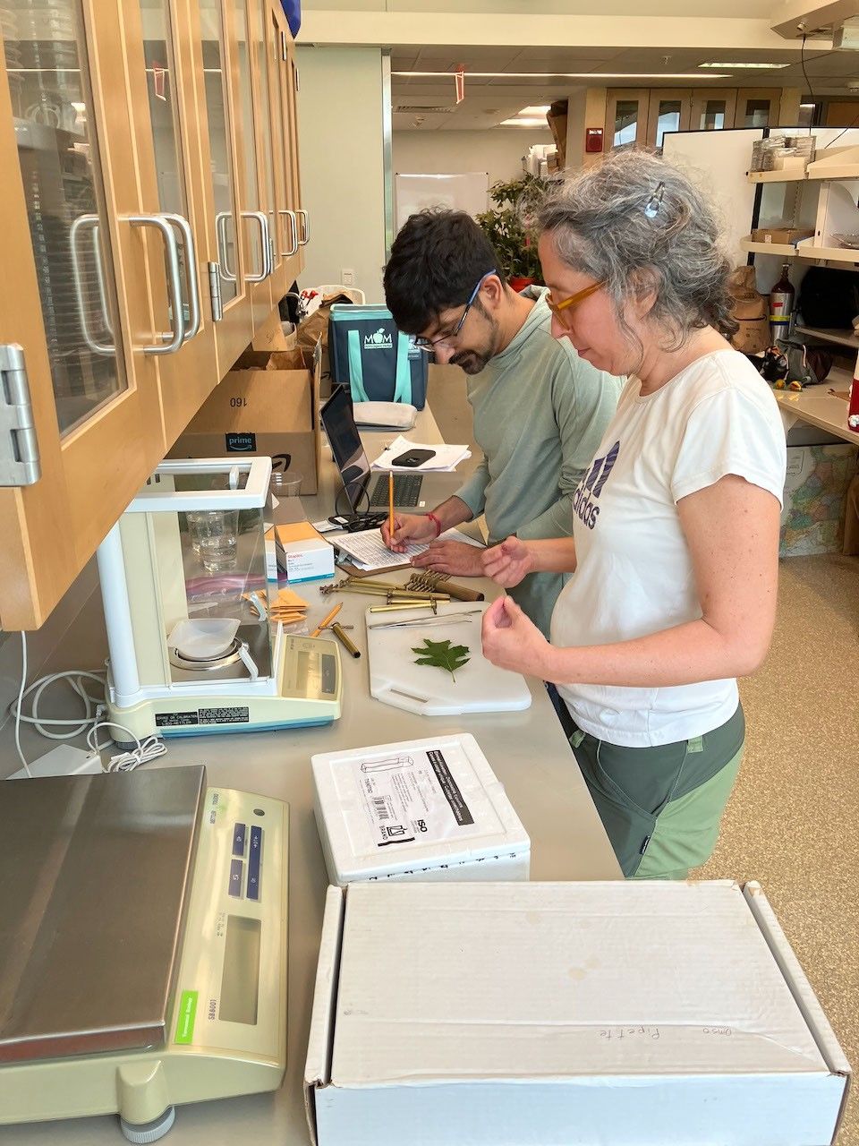 A woman and man stand at a lab bench. She is analyzing a single leaf, while he makes notes with a pencil.