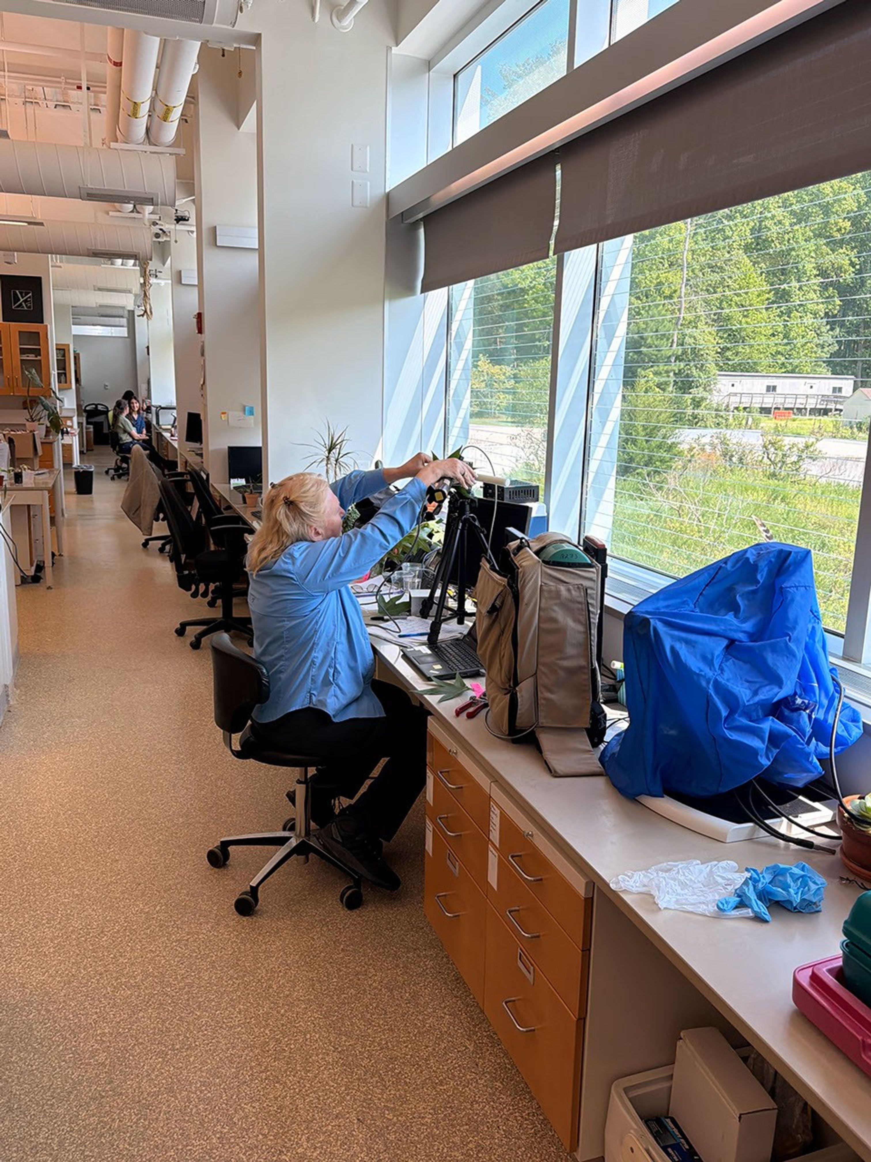 A woman seated in an office chair reaches both arms to the top of an instrument standing on three legs. Beyond her, windows give out onto trees and meadow.