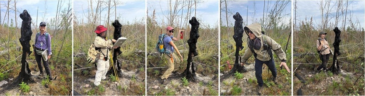 A series of five photographs shows each scientist posing with a gnarled and blackened tree trunk that shows monster attitude. Bourgeau-Chavez stands smiling. Miller pretends to show the map to the tree. Vaner Bilt strikes a silly pose. Cook strikes a monstrous pose. Gumpper pretends to hold a conversation with the tree.