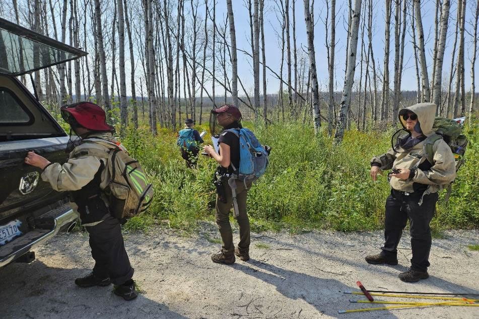 Three members of the field team stand on a dirt road behind their truck, looking into the open back. They wear heavy boots and pants, jackets and hats with bug netting, and carry backpacks. In the background, another team member wades into the tall grass at the side of the road toward a stand of thin trees. Beyond the trees: a sunny field, a nearly-flat horizon.